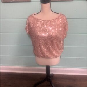 Main Strip Shimmering Pink Sequin Blouse